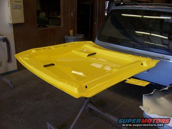 100_0404.jpg Hood underside painted