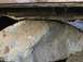 1978 Ford Bronco - A large rock is lodged under the frame of a vehicle, obscuring the view of the undercarriage.