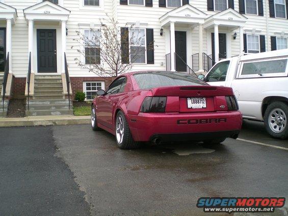 The Cobra