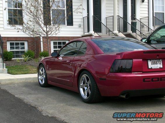Cobra