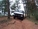 1978 Ford Bronco - A silver 1978 Ford Bronco navigates a wooded dirt trail, its off-road capabilities.