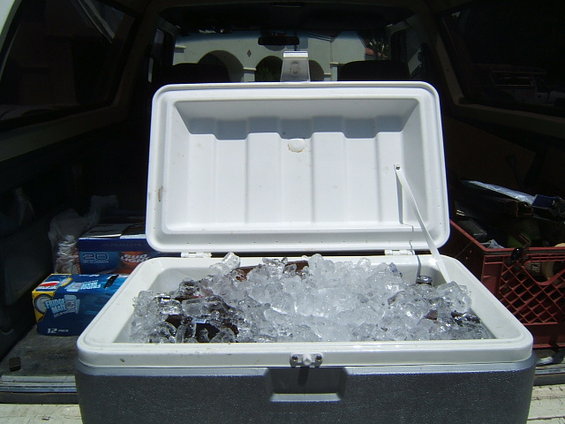 Cooler filled with ice and bottles, sitting in the cargo area of a vehicle. Cases of beer are visible behind the cooler