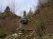 1978 Ford Bronco - Off-road vehicle navigating a challenging dirt path surrounded by dense vegetation.
