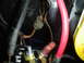1984 Ford Bronco - This image shows a close-up view of a vehicle's electrical wiring and connectors, likely in the engine bay.