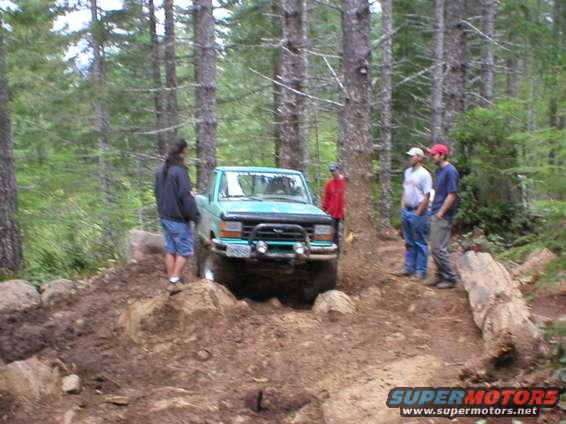 Teal Ford Bronco off-roading in a forest, front view