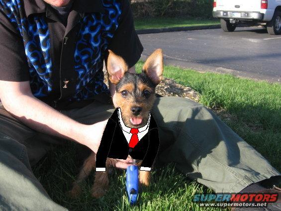 tobisuit.jpg pic of tobi in a suit
May '06