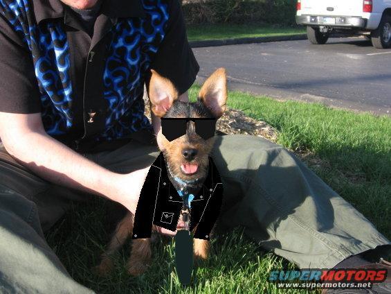 pic of Tobi as the Terminator
May '06