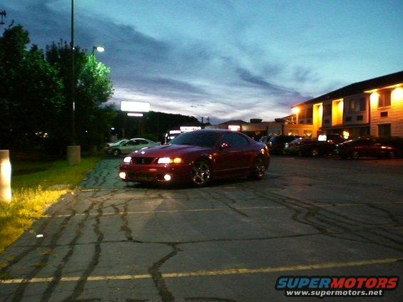 Cobra at Night