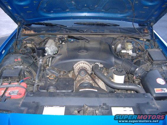 Blue 1998 Ford Crown Victoria engine bay with the hood open, showing the V8 engine, battery, and air intake