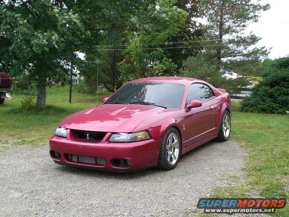 The Cobra