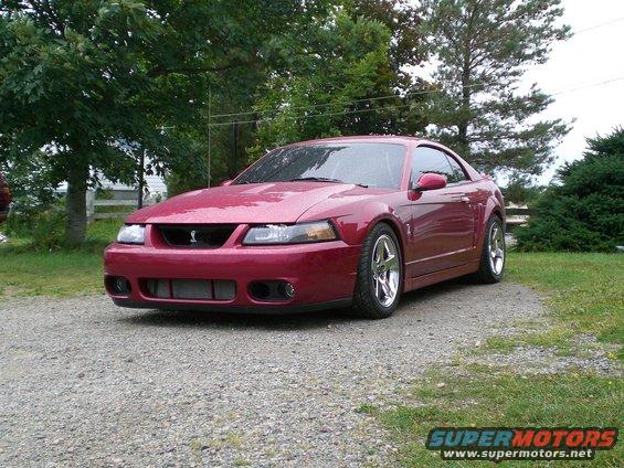 The Cobra