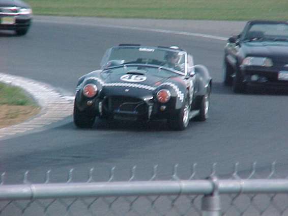 roscoe.jpg Roscoe's Cobra