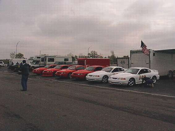 mamr3.jpg Cobra R's at MAM