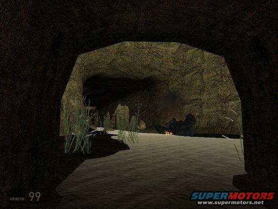 Person lying by a fire inside a cave with water and reeds