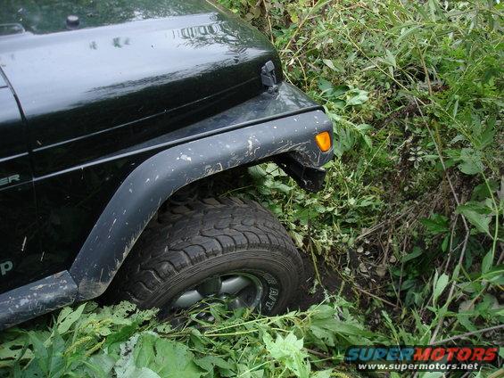 Black Jeep Wrangler fender and tire stuck in foliage
