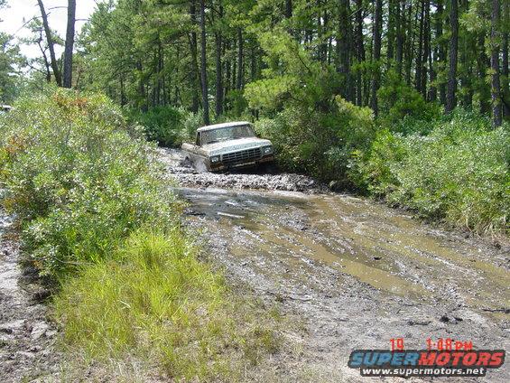Ford F-Series pickup truck stuck in muddy forest road. Grille suggests 1979 model year