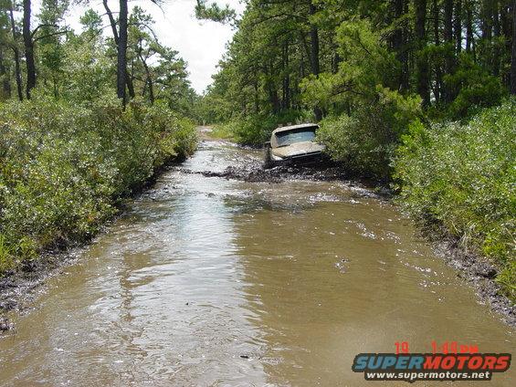 Tan truck stuck in a muddy, water-filled path through trees