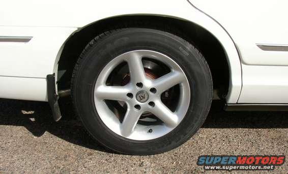 at_italia_5_razze_041.jpg 16 X 8 AT Italia 5 Razze