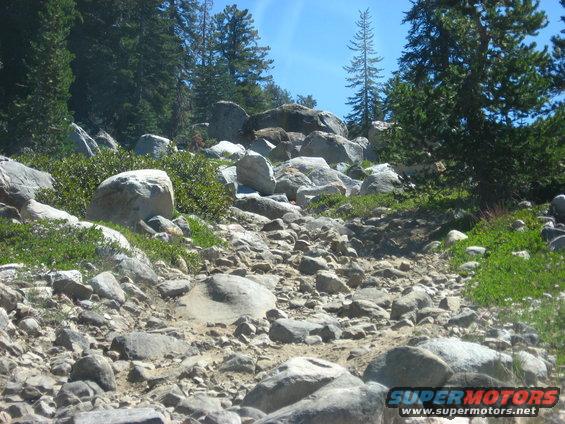 Rocky mountain trail with large boulders and pine trees under a blue sky