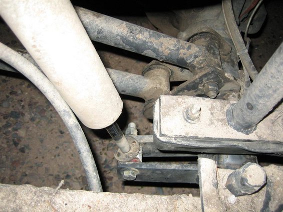 Rear suspension with shock absorber and leaf springs