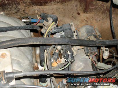Engine wiring harness and fuel injectors