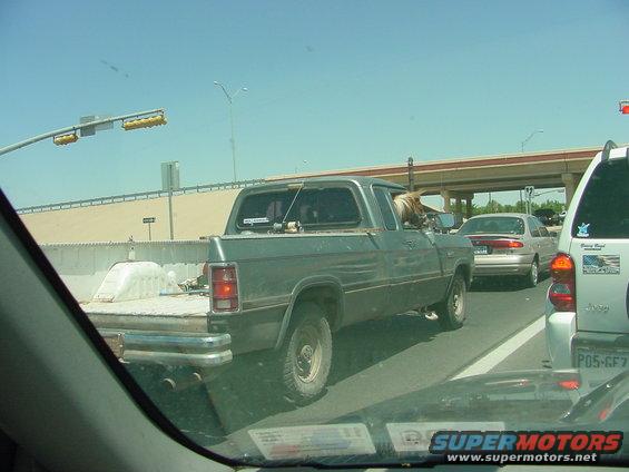 Green pickup truck with dog in driver's seat, side view