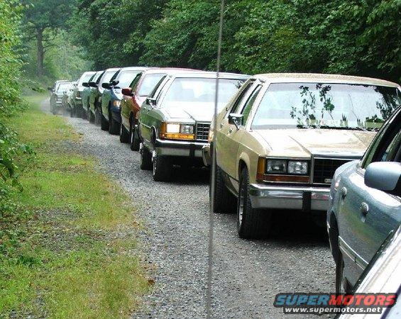 Tan Ford Crown Victoria in a line of cars on a gravel road