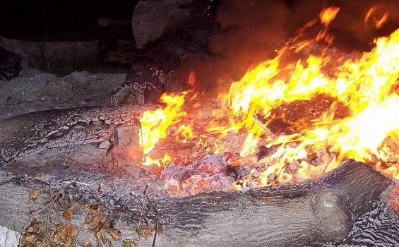 100_0284.jpg Burned a Ford radio.