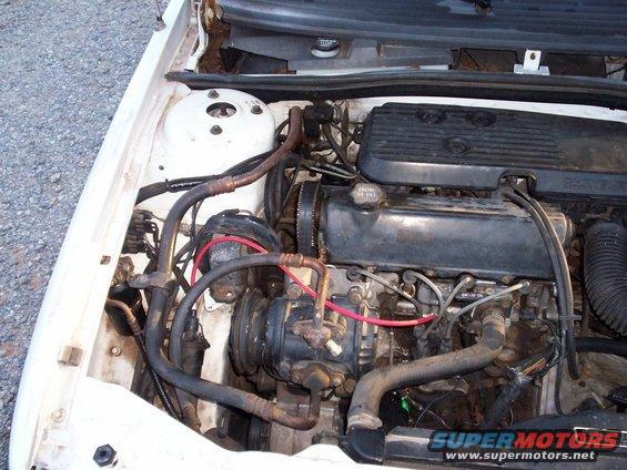 engine bay with hoses, belts, and engine components visible