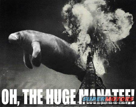 Manatee swims past an explosion with text 'OH, THE HUGE MANATEE!'