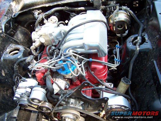 Engine bay with V8 engine, chrome intake manifold, red block, and blue distributor cap