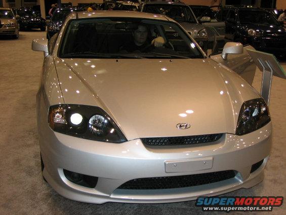 tiburon.jpg 