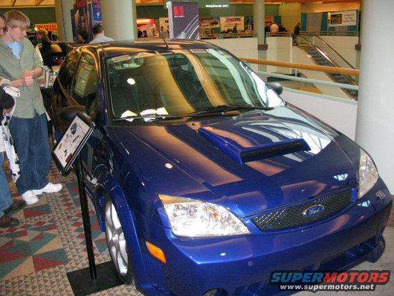 saleen-focus.jpg 