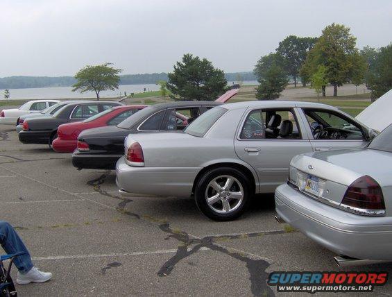 Several Ford Crown Victoria police cars parked in a line by a lake