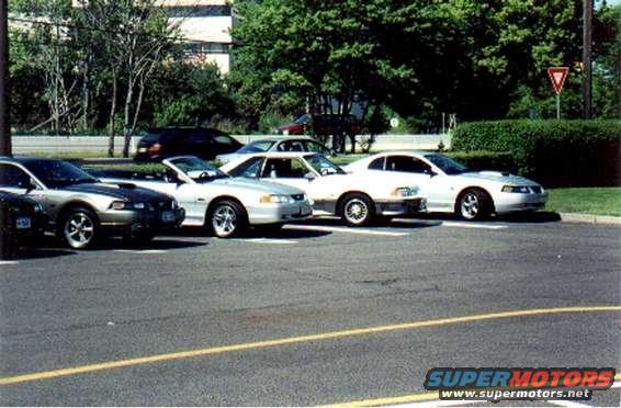 Several Ford Mustangs parked side-by-side, including a silver convertible and a dark gray coupe
