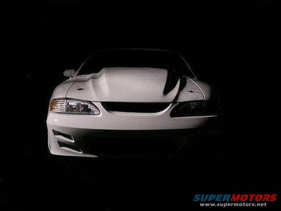 Stalker Mustang