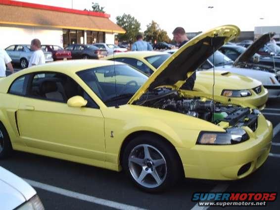 Yellow Ford Mustang with hood open, parked next to another yellow Mustang