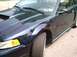 1989 Ford Mustang - This dark green car features flame graphics and a GT badge, indicating a performance trim level.