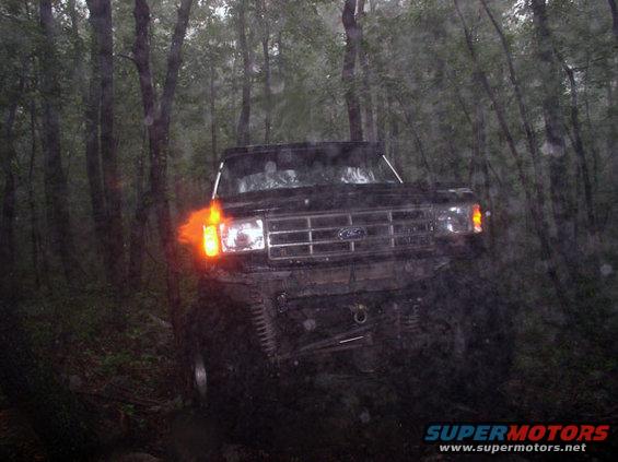 Black Ford Bronco navigating a wooded trail