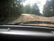 1996 Ford Bronco - View from inside a vehicle driving on a rough dirt road through a wooded area.