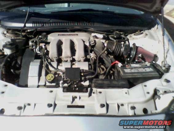 enginebay.jpg Heres a pic of my Engine Bay