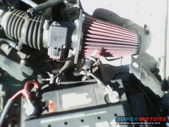 knfilter.jpg Here's my K&N Mustang filter i put in, this thing really brings out the engines real sound.  It's Amazing, not to shaby for about 45 bucks