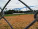 1995 Ford C-350 (Centurion Conversions) - A baseball field is viewed through a chain-link fence, with trees and parked vehicles in the background.