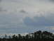 1995 Ford C-350 (Centurion Conversions) - Overcast sky with scattered clouds above a dense line of pine trees.