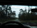 1995 Ford C-350 (Centurion Conversions) - View from inside a vehicle as it travels down a road bordered by dense trees under a cloudy sky.