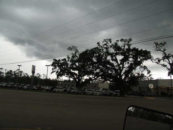 Cars parked in a lot under a dark, cloudy sky with large trees in the foreground