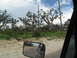 1995 Ford C-350 (Centurion Conversions) - A damaged building and trees are visible in the distance, seen from inside a vehicle.