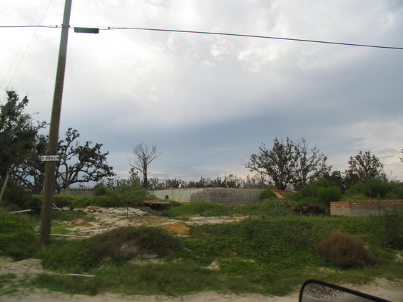 Scene of damaged buildings and overgrown vegetation under a cloudy sky