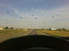 Mud fleck on window....lol.