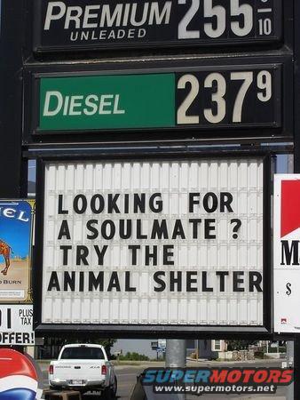 Gas station sign with prices and a message about animal shelters. A white pickup truck is visible
